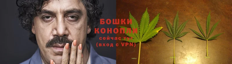 Бошки марихуана OG Kush  Прохладный 